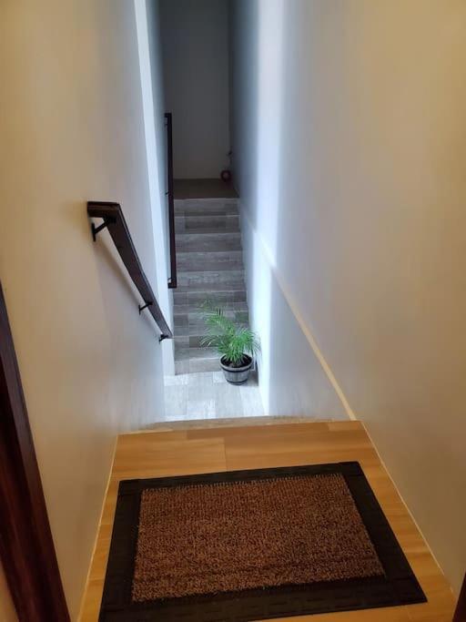 'The Solace' New Luxury Modern 1Bed 1Bath Apt. Portmore Kültér fotó