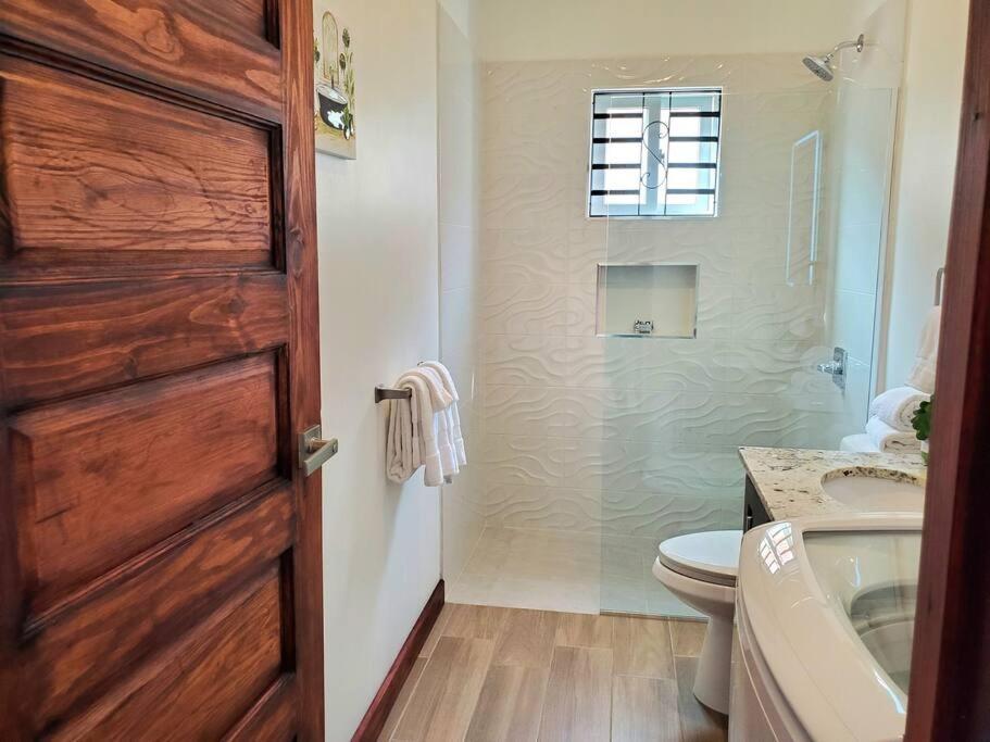 'The Solace' New Luxury Modern 1Bed 1Bath Apt. Portmore Kültér fotó