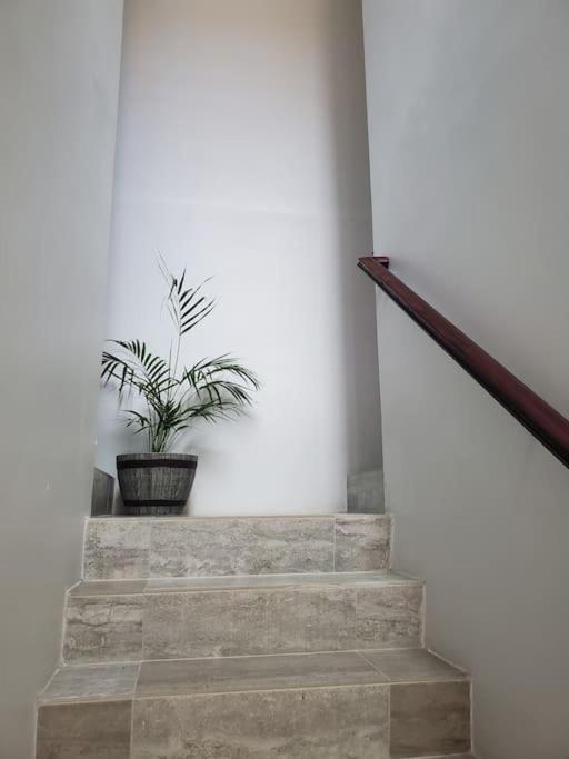 'The Solace' New Luxury Modern 1Bed 1Bath Apt. Portmore Kültér fotó